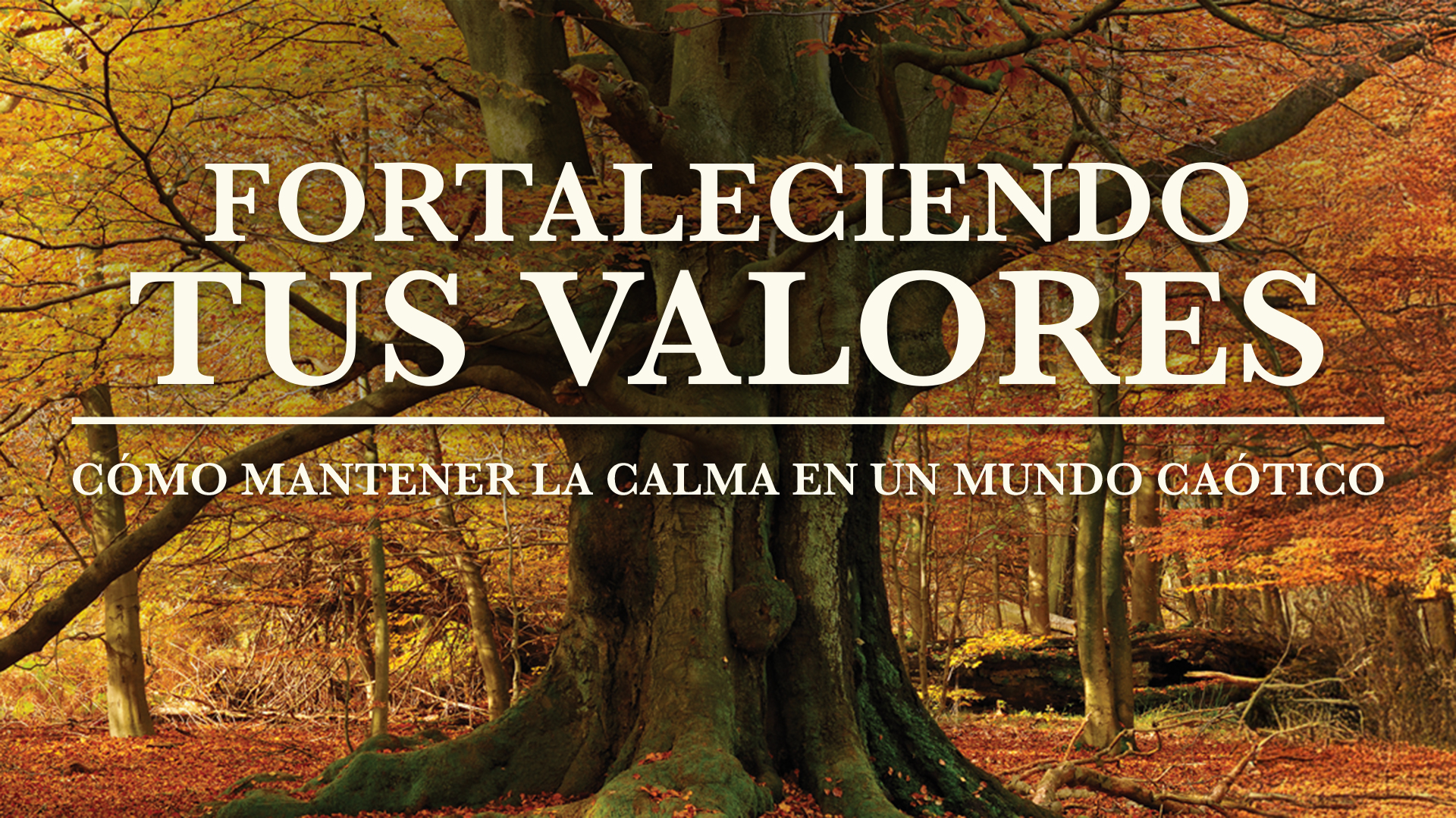 Fortaleciendo a las personas en el ocaso de su vida