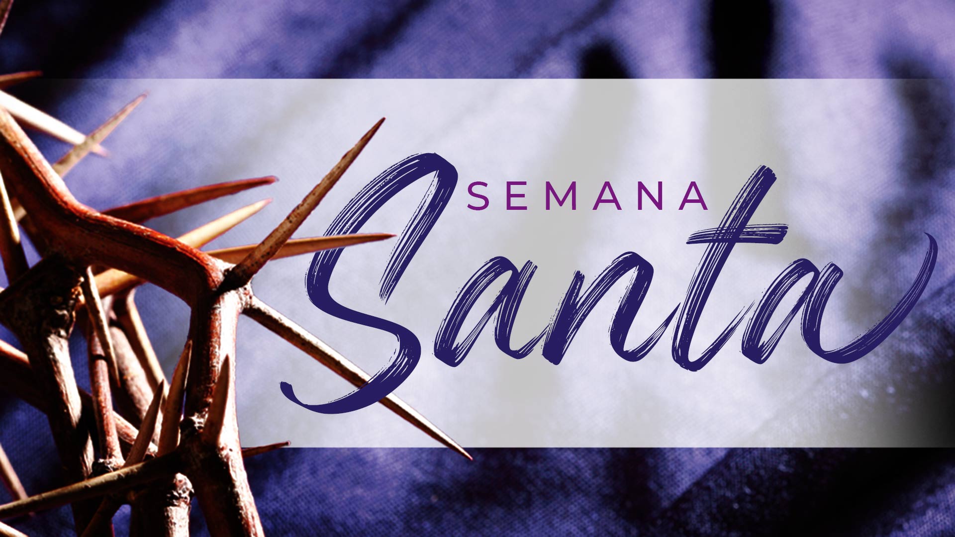 ¿Qué hace un rey montado en un burrito?