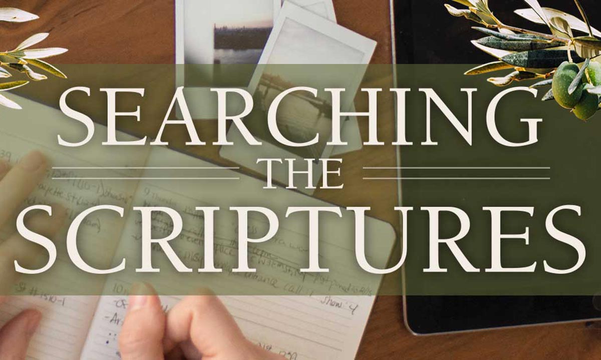 Searching the Scriptures: Find the Nourishment Your Soul Needs