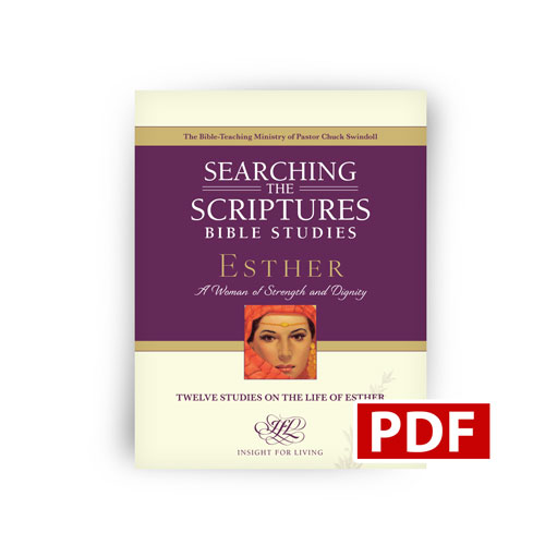 Esther STS Workbook