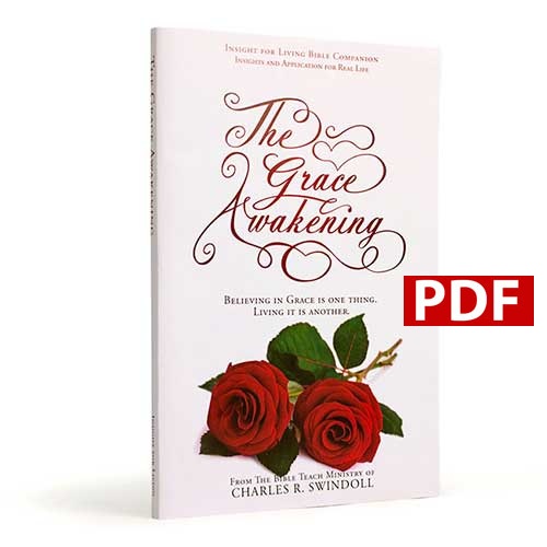 The Grace Awakening Bible Companion (PDF download)