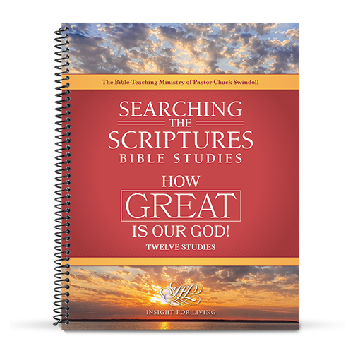 How Great Is Our God STS Workbook