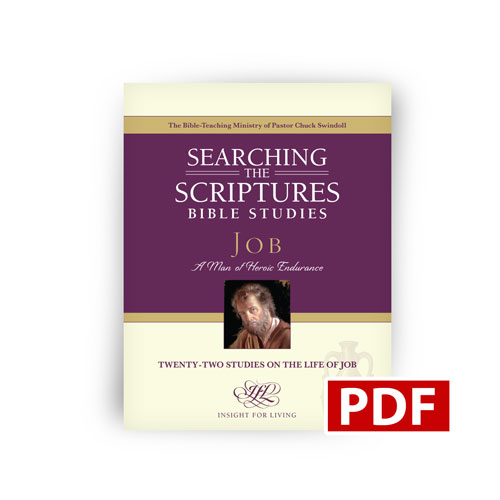 Job STS workbook PDF