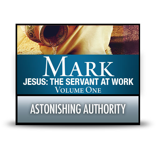 Astonishing Authority – CD