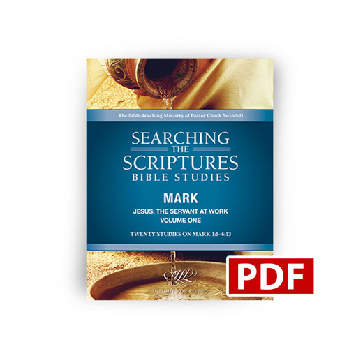 Jesus: The Servant at Work, Volume One Searching the Scriptures workbook – PDF version
