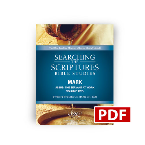 Jesus: The Servant at Work, Volume Two Searching the Scriptures workbook – PDF version