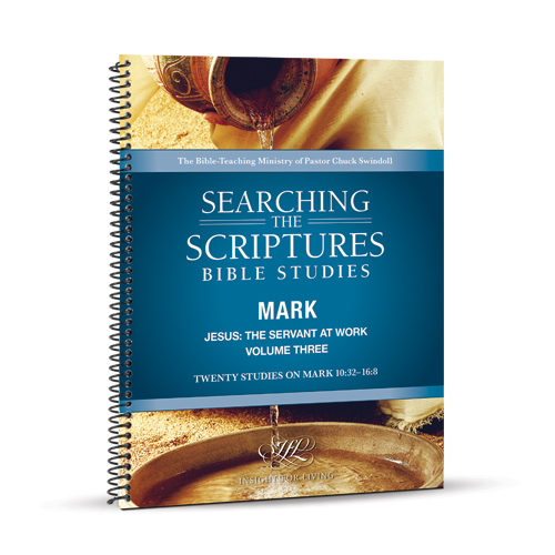 Jesus: The Servant at Work, Volume Three Searching the Scriptures workbook – spiral-bound version