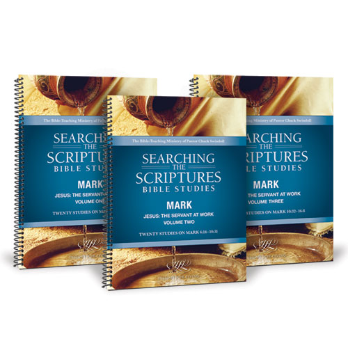 Jesus: The Servant at Work 3 Volume STS Workbook Set