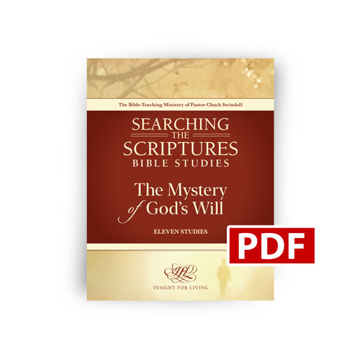 The Mystery of God's Will STS PDF