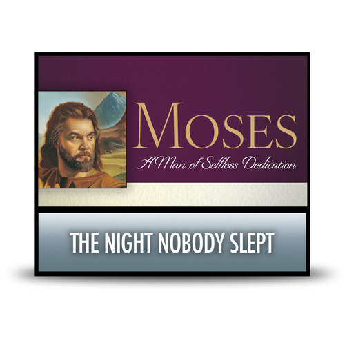 The Night Nobody Slept – CD