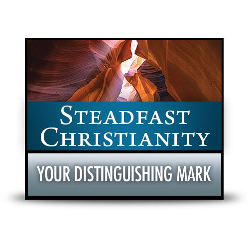 Your Distinguishing Mark – CD