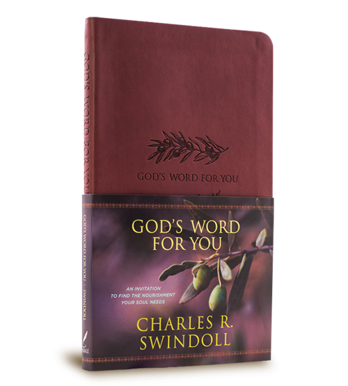 God's Word for You