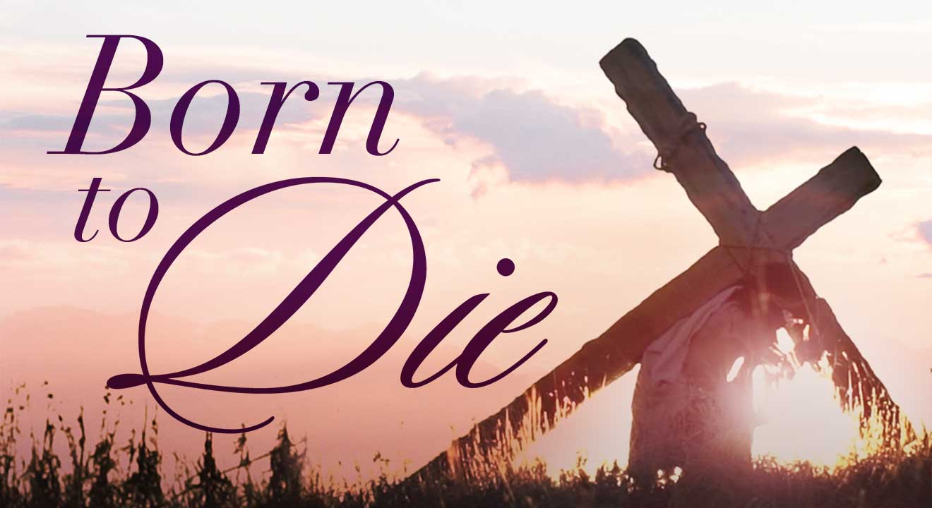 Born to Die