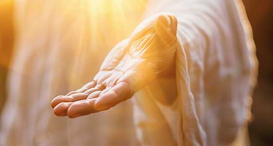 Go Where the Evidence Leads