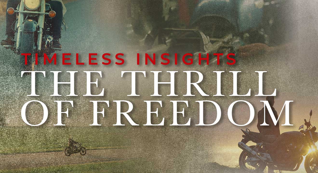 Timeless Insight - The Thrill of Freedom
