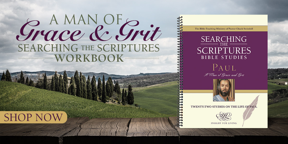 Paul Searching the Scriptures workbook