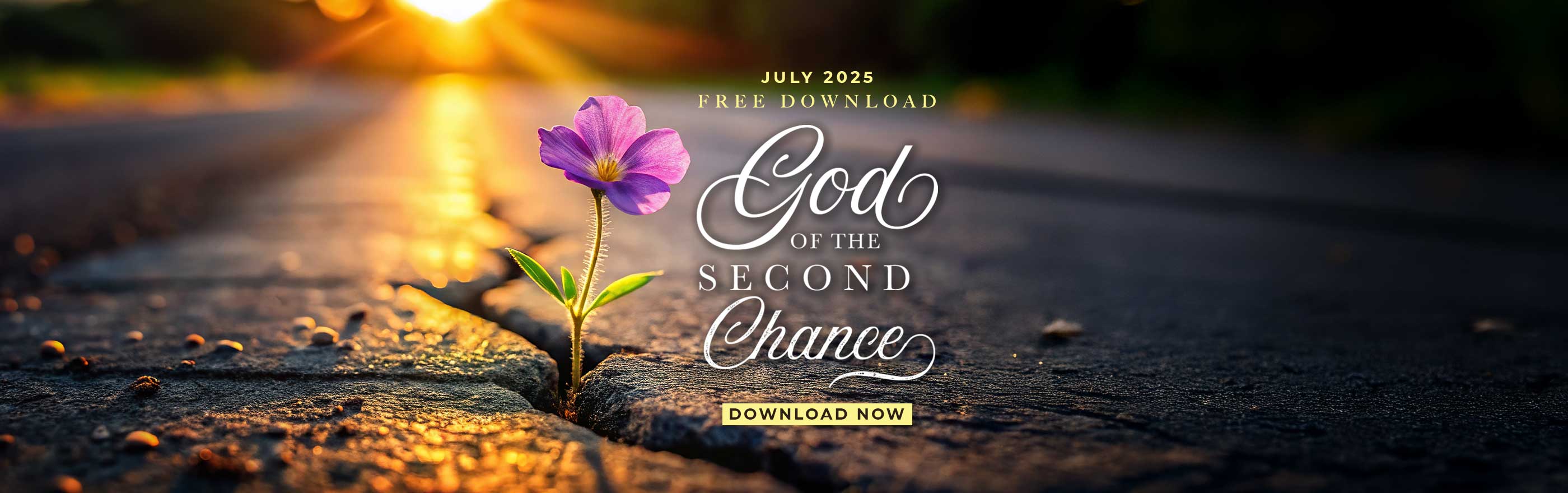 God of the Second Chance download