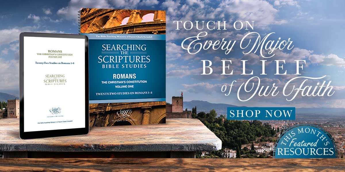 Romans volume 1 Searching the Scriptures workbook