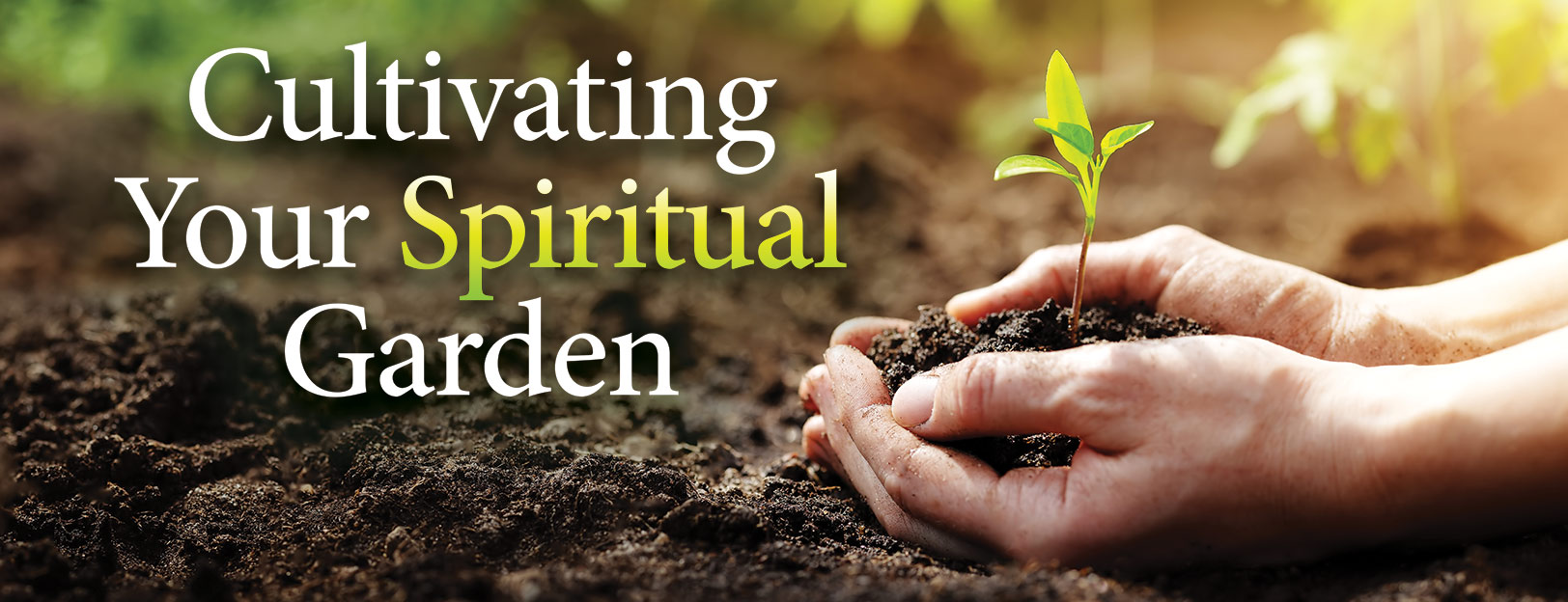 Cultivating Your Spiritual Garden