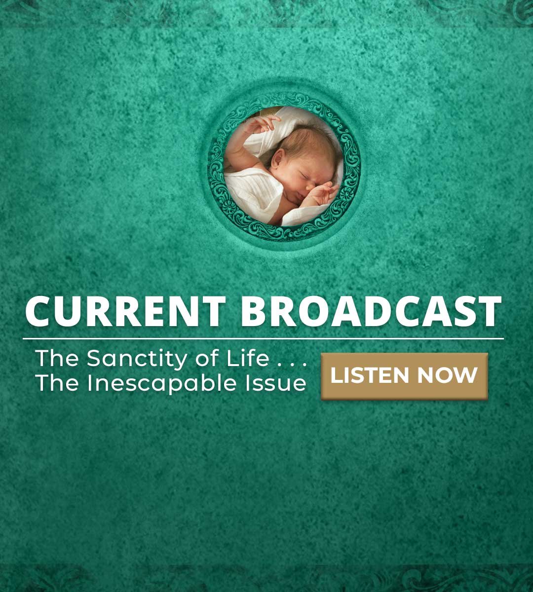 /broadcasts/current-series Mobile