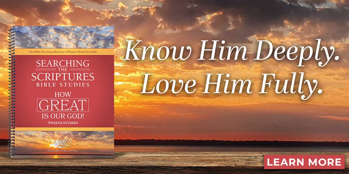https://store.insight.org/category/featured-resources/how-great-is-our-god-sts