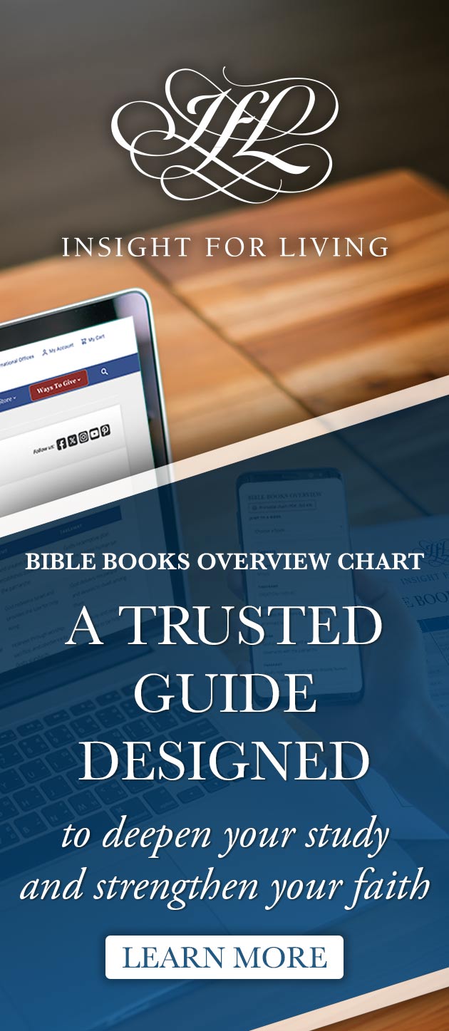 Bible Overview Chart
