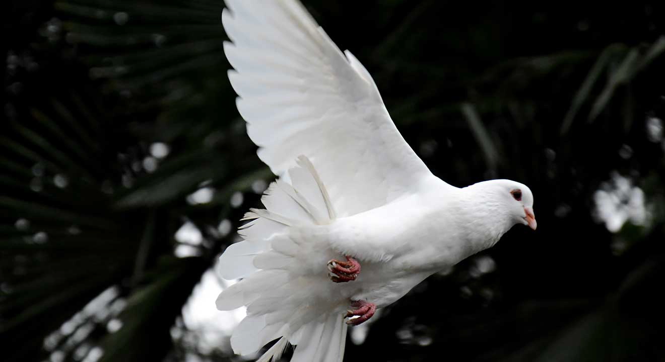 Let’s Get Reacquainted with the Spirit