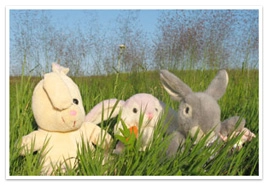 Stuffed animal bunnies in a field of tall grass