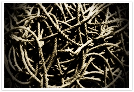 Everything Is Under Control