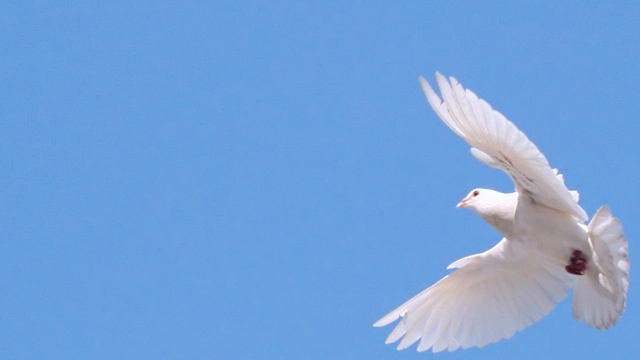 Holy Spirit